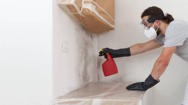 Professional Crawl Space Mold Remediation technician working in Circle Pines, MN